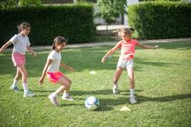 解析亚利桑那响尾蛇的防御韧性体系