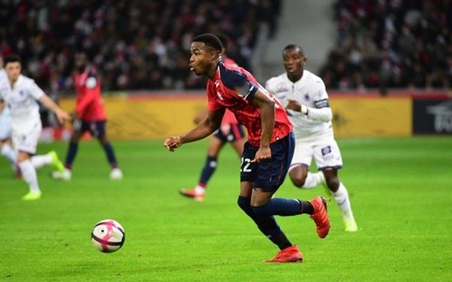 仅可以实现 仅可以实现